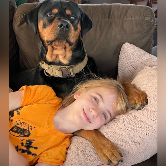 Kyleigh’s HandKrafted Korner- Art/Pens/Cards
For Soccer ⚽️ Camp - Picture 6 of 15